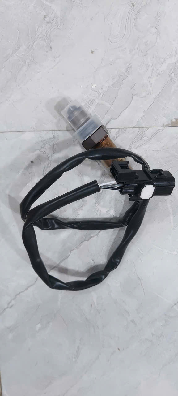 cảm biến ô xy X55 (1)
