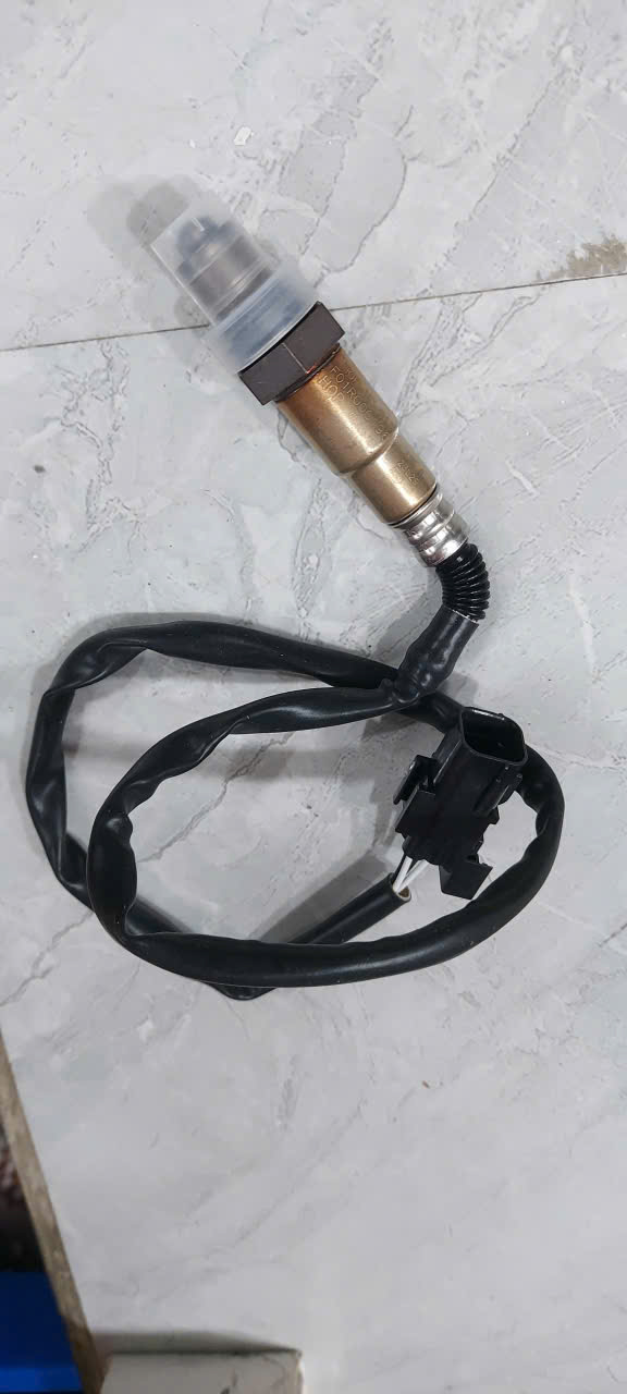 cảm biến ô xy X55 (2)