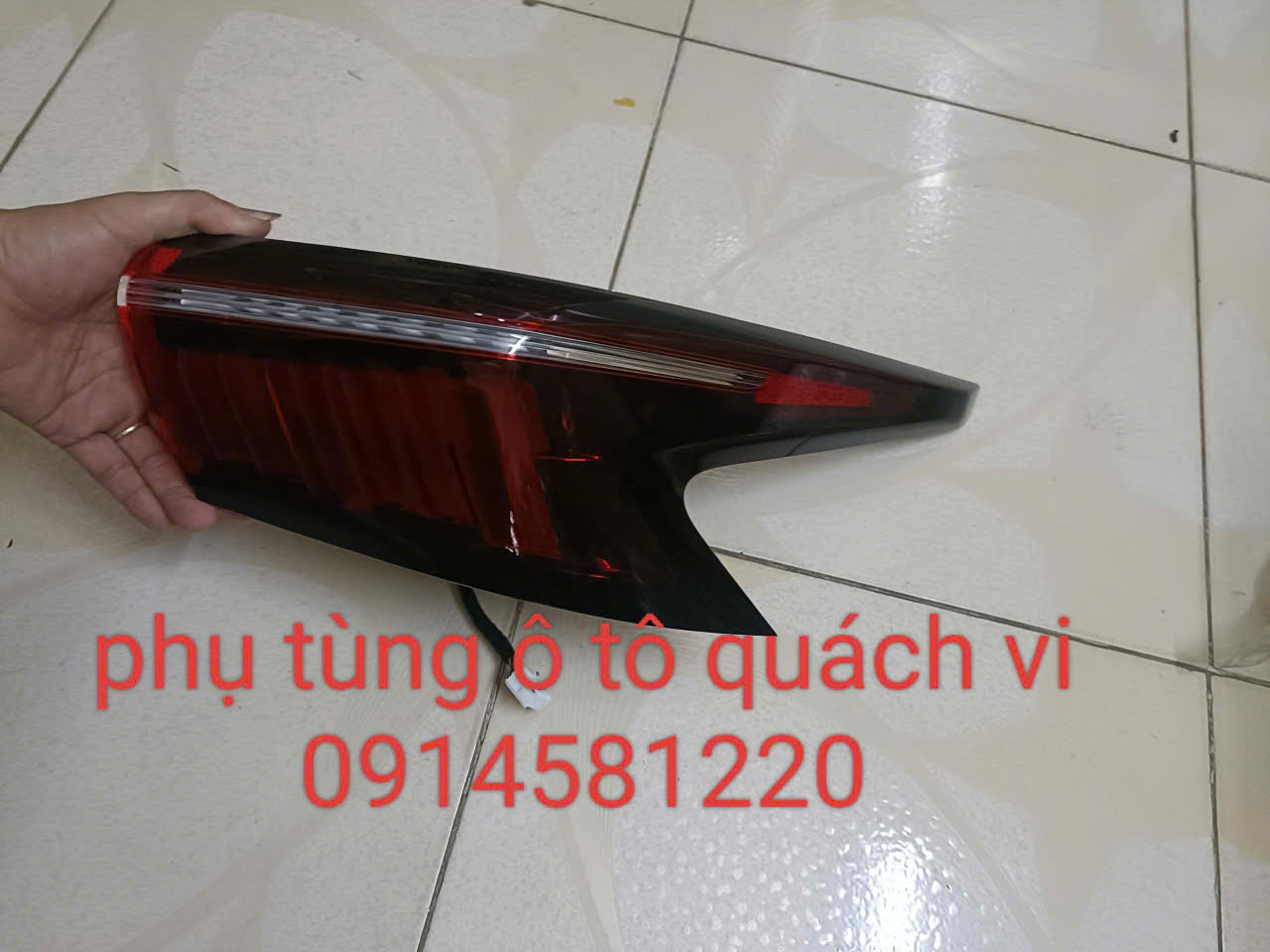 1783757162673_4635112672825485279_4635112672825485279_a1fc929ee5eaeed37349e3b927b51d41